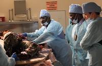 Кадр Саботаж