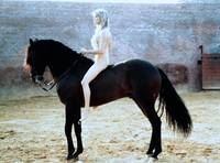 Кадр Болеро