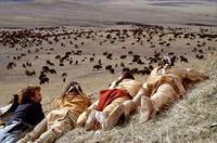 Кадр Танцующий с волками