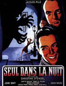 Seul dans la nuit