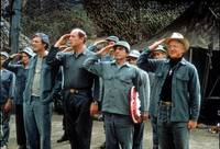 Кадр Чертова служба в госпитале Мэш