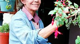 Кадр из фильма "Дикая роза" - 2