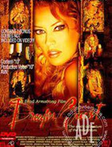 В поисках мечты (видео)