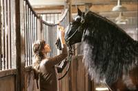 Кадр Танцуй с ним