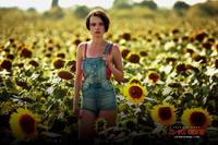 Кадр Дикое поле