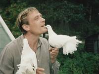 Кадр Любовь и голуби