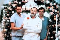 Кадр Молодость, больница, любовь