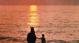 Кадр из фильма "Черный скакун" - 1