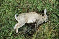 Кадр Грозовой перевал