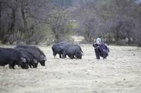 Кадр Любовь на высоте