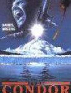 Sulle tracce del condor