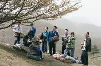 Кадр Под ветвями боярышника