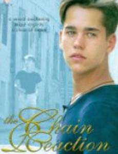 Цепная реакция (видео)