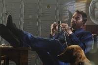 Кадр Правосудие Стоуна: Смерть в раю