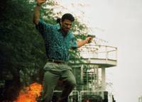 Кадр Тропическая жара