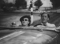 Кадр Голубая лиса