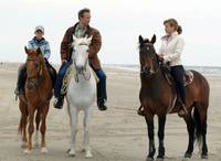 Кадр Остров лошадей