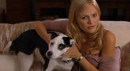 Кадр из фильма "Собачья любовь" - 1