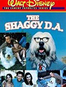 Лохматый пес