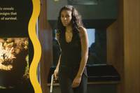 Кадр Добро пожаловать в рай! 2: Риф (видео)