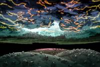 Кадр Гениальная вечеринка