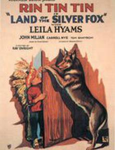 Land of the Silver Fox