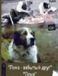 Лома – забытый друг