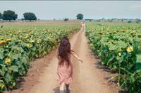 Кадр Милая и опасная