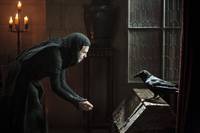 Кадр Мерлин