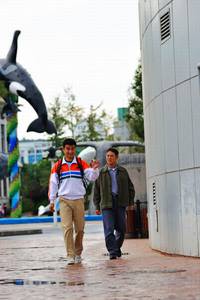 Кадр Рай океана