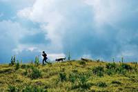 Кадр Девочка и лисенок