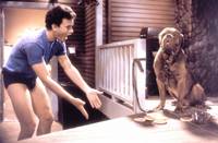 Кадр Тёрнер и Хуч