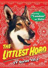 Маленький бродяга