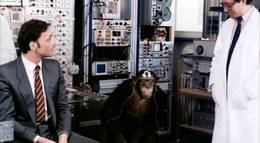 Кадр из фильма "Рай для всех" - 2