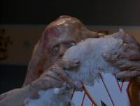 Кадр Существо в корзине 2