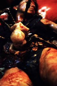 Кадр Колыбель кошмаров (видео)