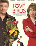 Постер из фильма "Любовные пташки" - 1