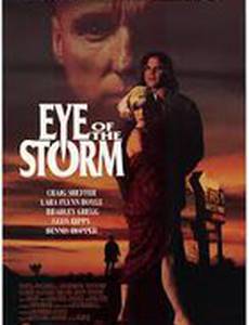 Глаз шторма