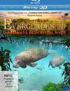 Приключение в Эверглэйдс (видео)