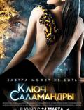 Постер из фильма "Ключ Саламандры" - 1