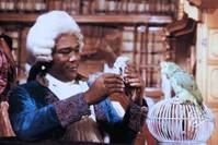 Кадр Барокко