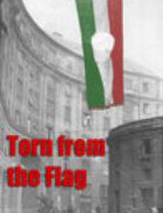 Torn from the Flag: A Film by Klaudia Kovacs