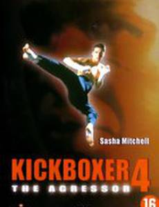 Кикбоксер 4: Агрессор
