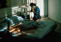 Кадр Тропическая жара