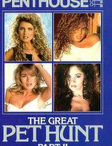 Пентхаус: Большая охота на любимиц 2 (видео)