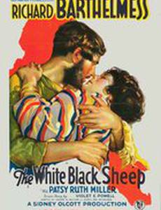 The White Black Sheep