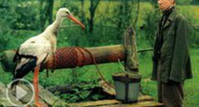 Американский трейлер 