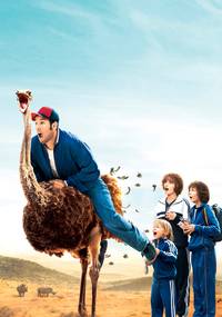 Постер Смешанные