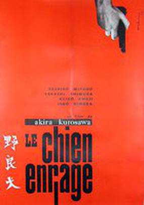 Бездомный пес