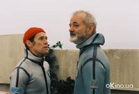 Кадр Водная жизнь